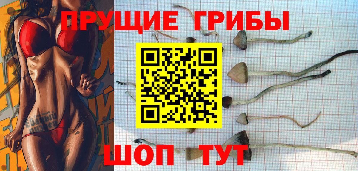 Галлюциногенные грибы мицелий  Вход с VPN  Волгоград  Псилоцибиновые грибы Cubensis 